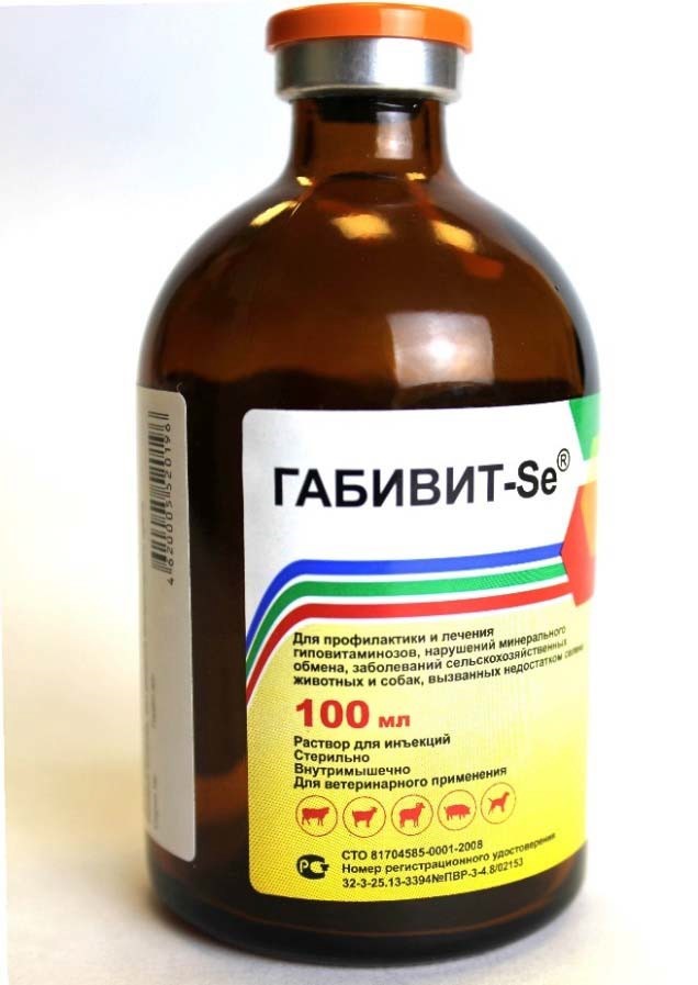 1a Фальсифицированный лекарственный препарат — ГАБИВИТ-SE
