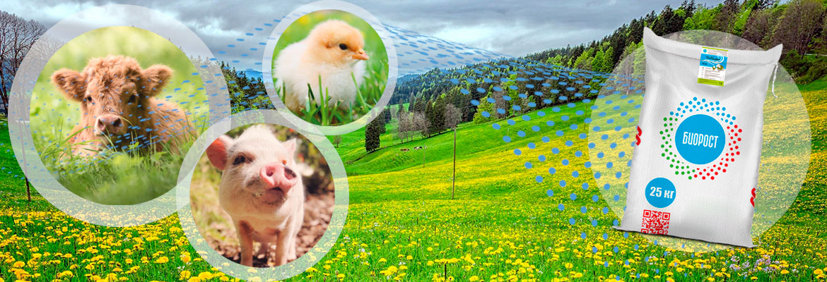 BioVentum Гормональные препараты для сельскохозяйственных животных