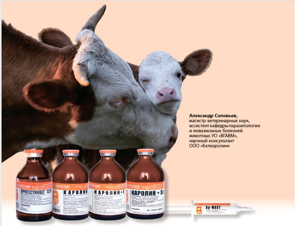 ctat Белкаролин - на пути улучшения репродуктивного здоровья коров
