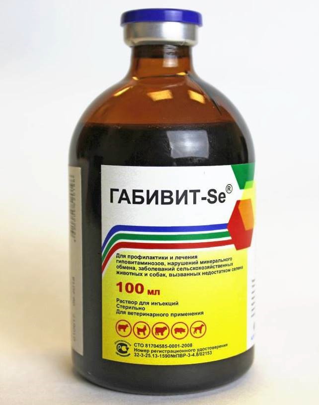 1 Фальсифицированный лекарственный препарат — ГАБИВИТ-SE