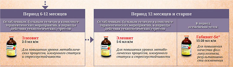 vit4 Практика применения витаминно-минеральных препаратов